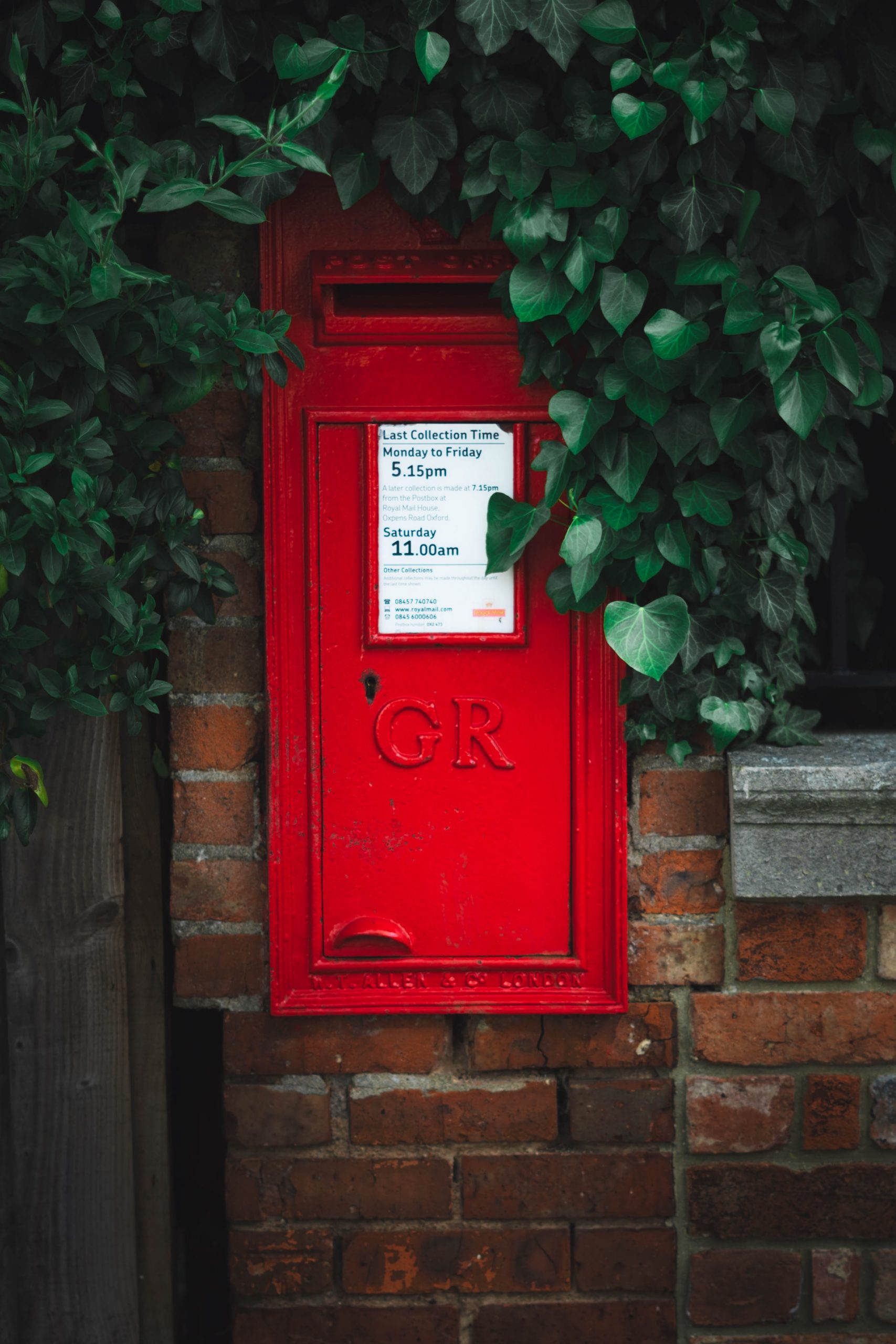 Red GR Post Box partially covered by a hanging hedge
