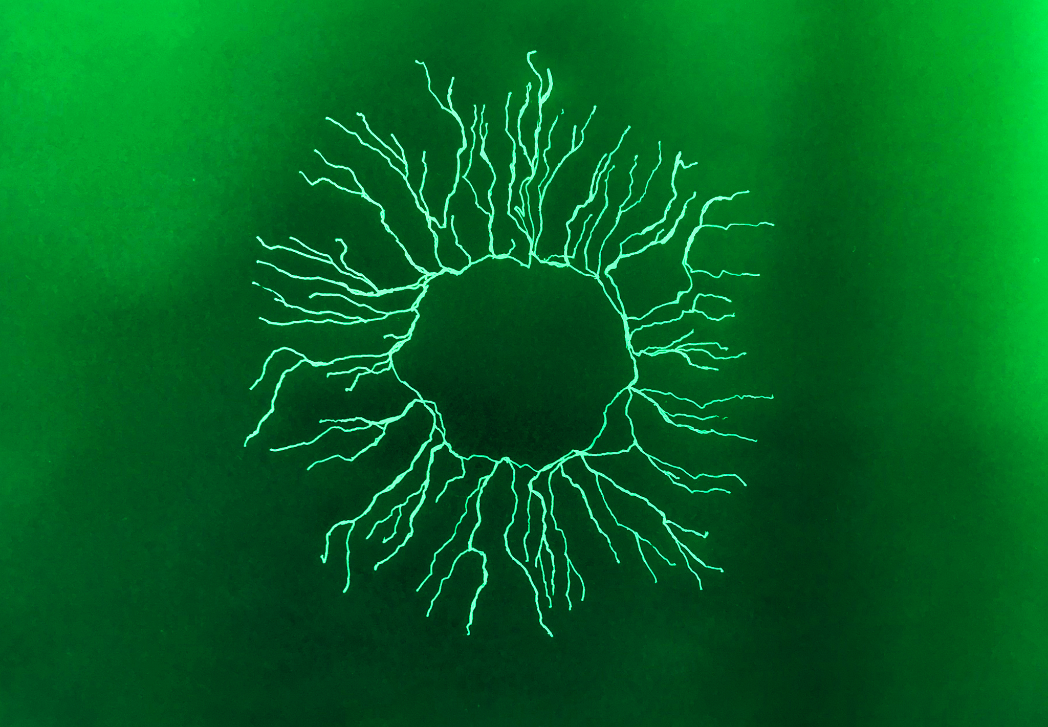 Ecological Citizens Course Launches at Penryn Campus