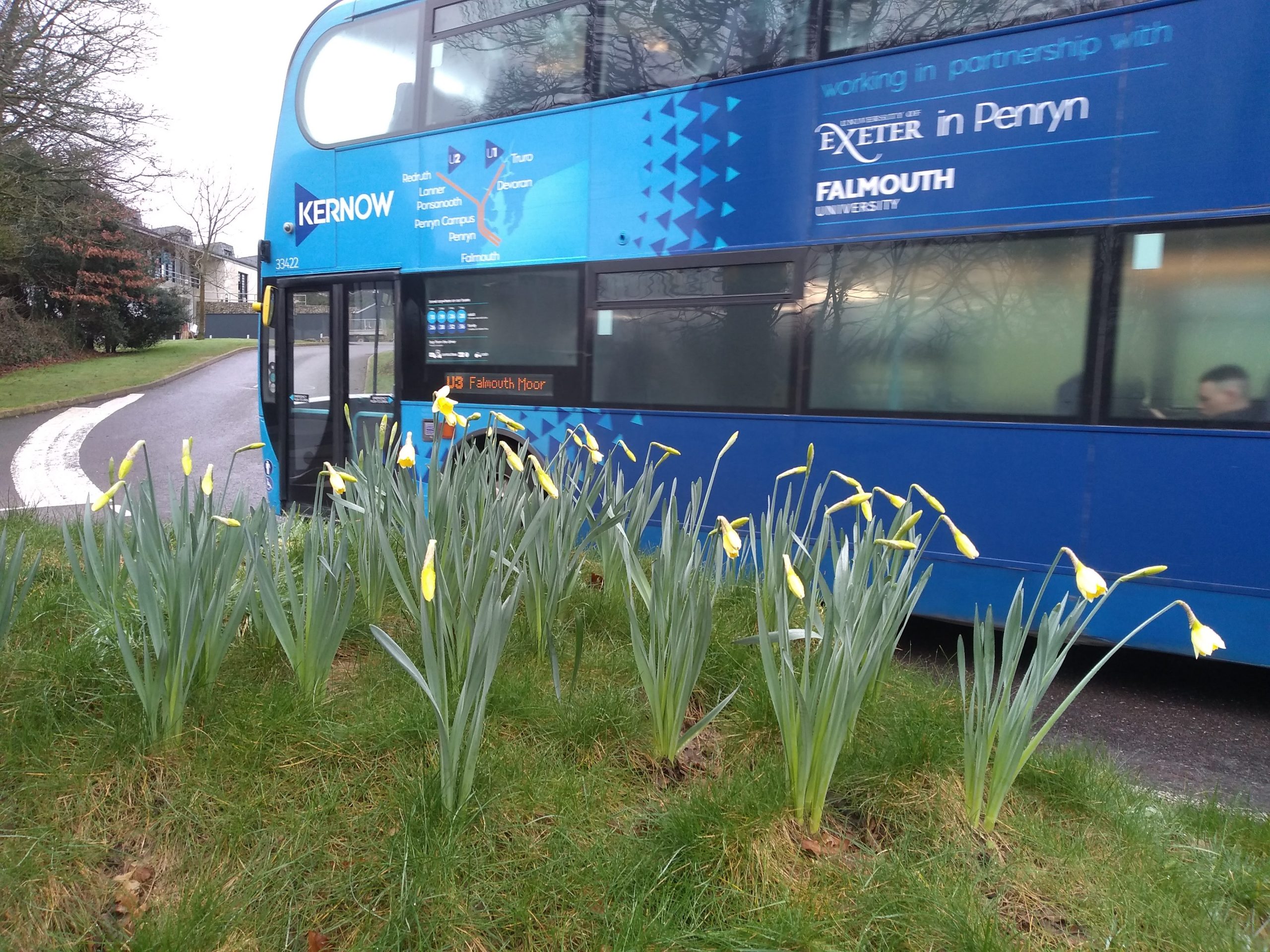 Falmouth University & the University of Exeter Student & Staff 2024 Commuting Travel Survey