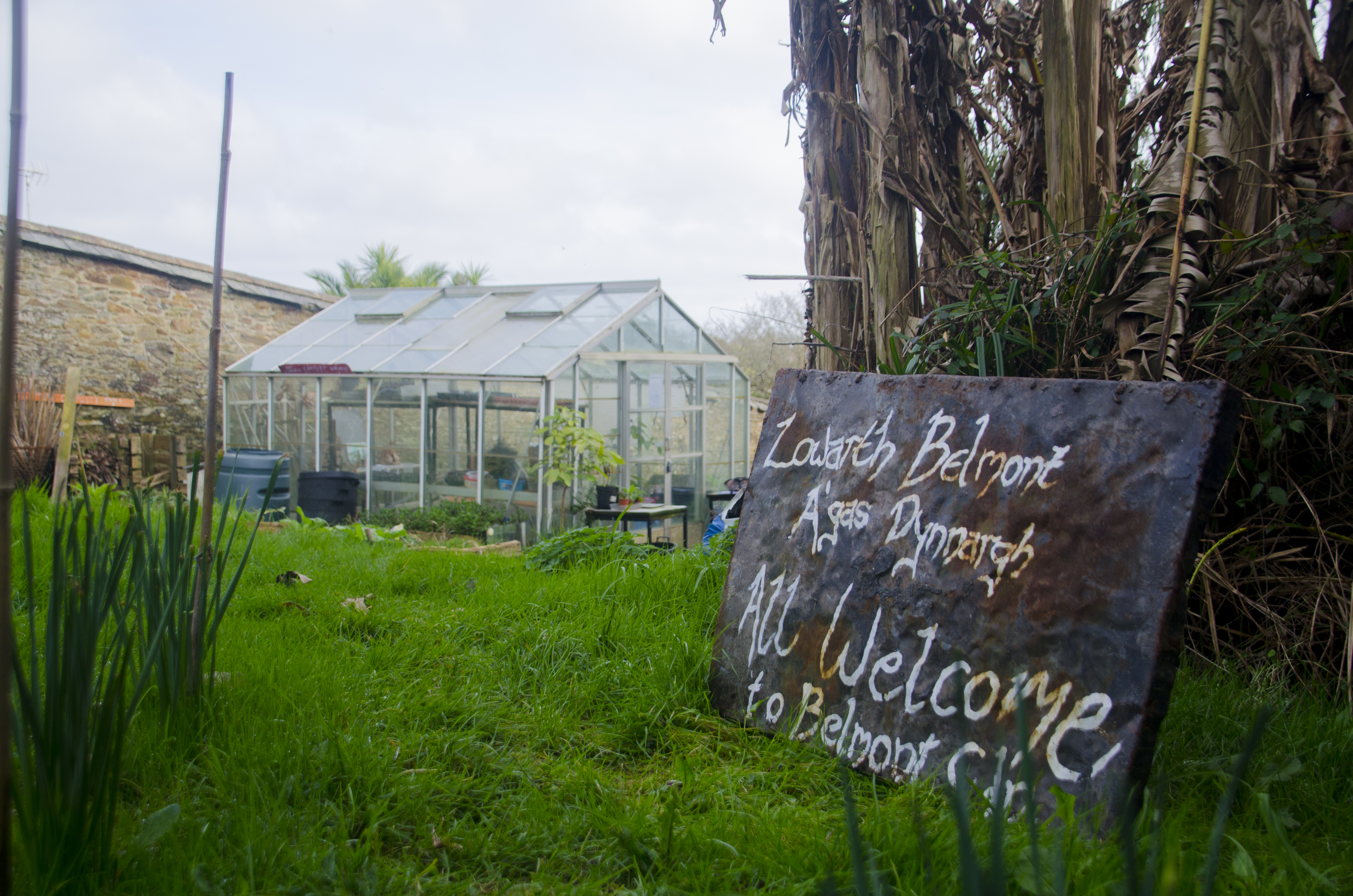 Belmont Garden Group at Falmouth Campus