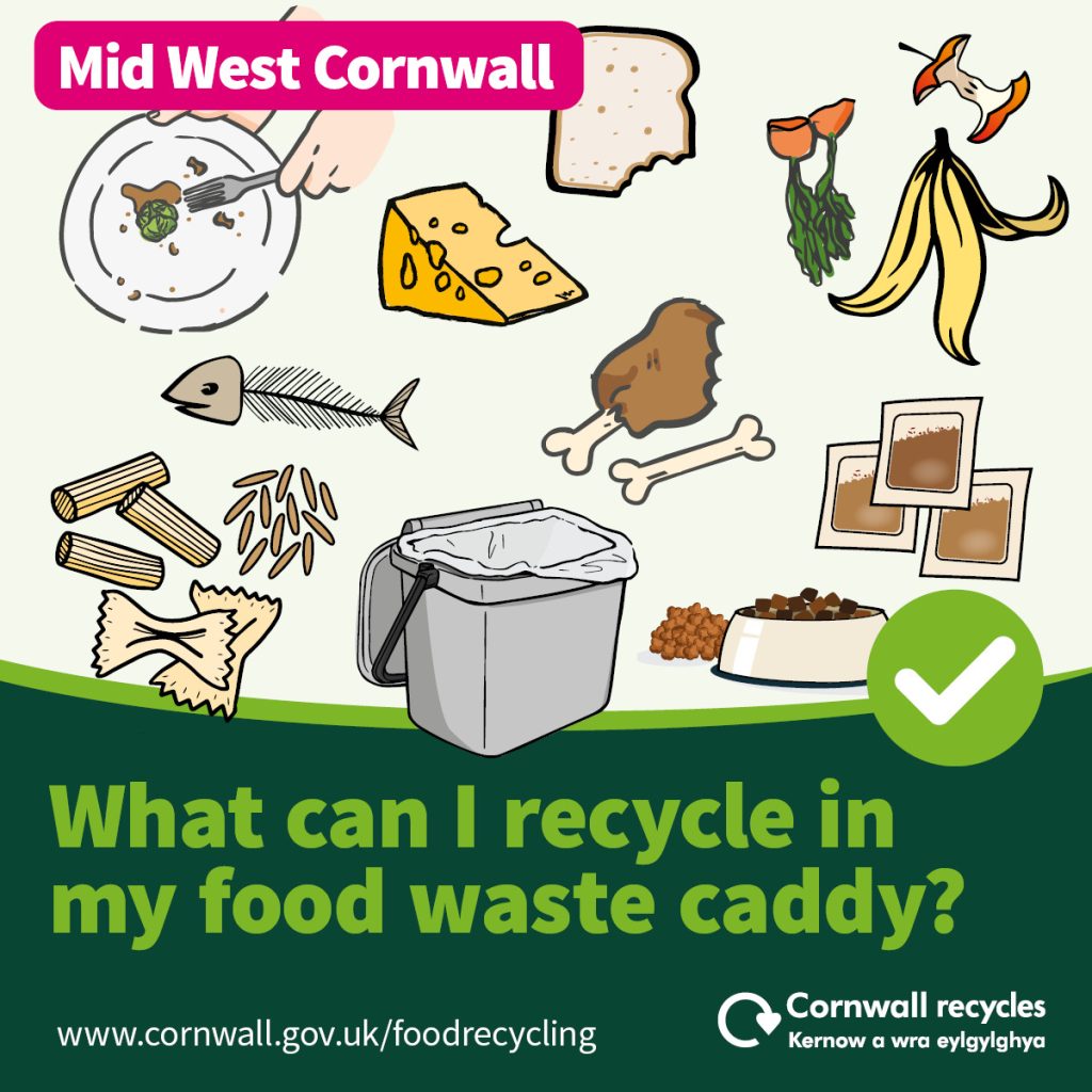 Graphic showing what you can recycle in your food waste caddy, including animal bones, cheese, pasta, fruit and vegetables.